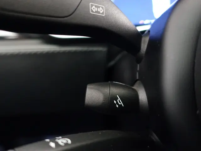 Tesla Model X 90D Performance AWD- 2017 Elektrisch 20