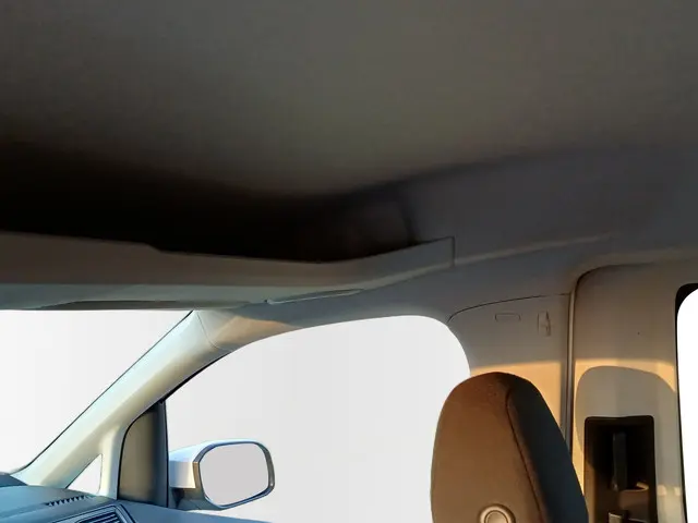 Volkswagen Caddy Maxi TSI Holiday 5p 2020 Benzine 28