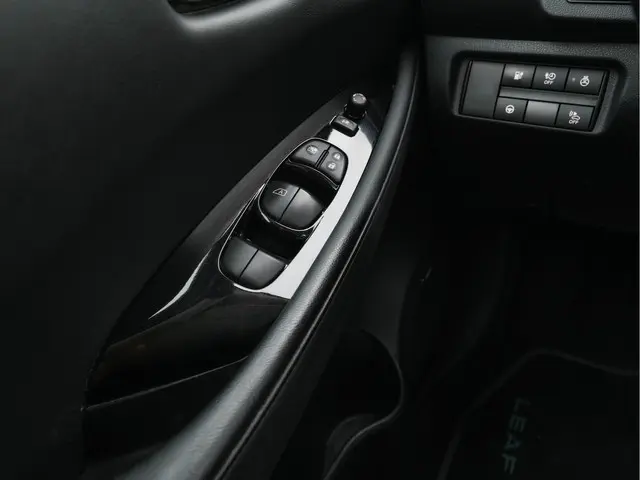 Nissan Leaf Tekna 40 kWh 2019 Elektrisch 20