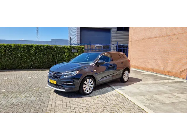 Opel Grandland X 1.2 Turbo Bus. Ex. 2019 Benzine