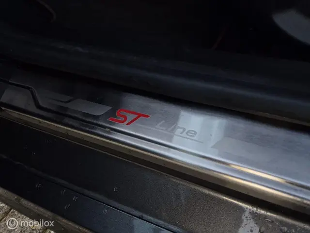 Ford Fiesta 1.0 EcoBoost ST-Line Airco 2019 Benzine 23