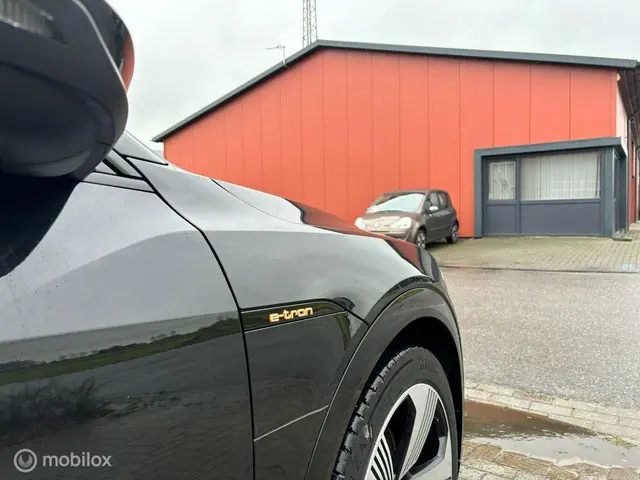 Audi e-tron 55 quattro S edition 95 kWh 2021 Elektrisch 31