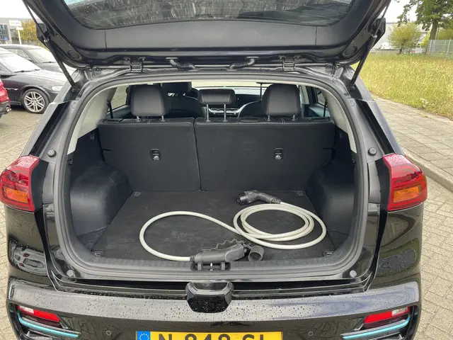 Kia e-Niro Edition 64 kWh 2021 Elektrisch 9