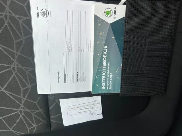 Škoda Fabia 1.0 TSI Clever , navigatie , pdc 2018 Benzine 21