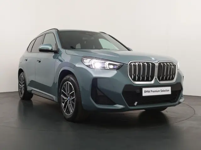 BMW iX1 xDrive30 Launch Edition 67 kWh 2024 Elektrisch 5