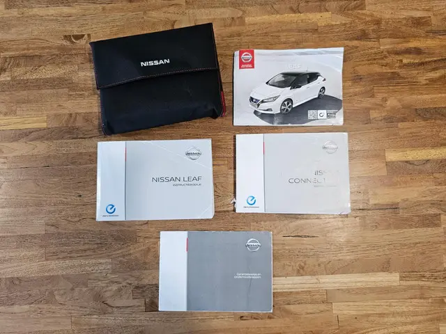 Nissan Leaf e+ Tekna 62 kWh 2020 Elektrisch 23