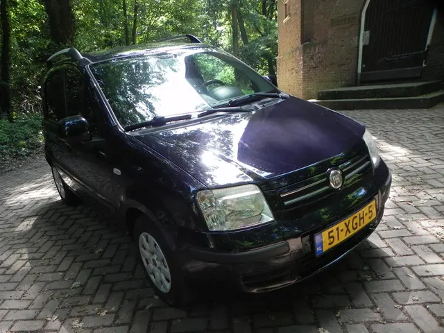 Fiat Panda 1.2 Edizione Cool 2012 Benzine 4
