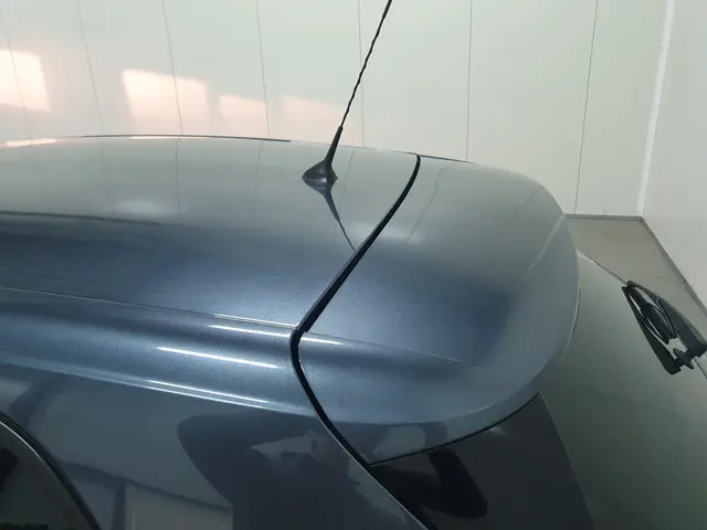 Renault Mégane 1.3 TCe Limited 2020 Benzine 25