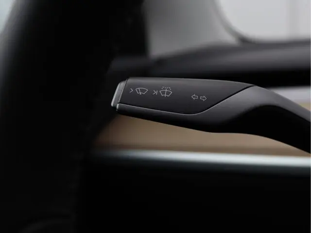 Tesla Model 3 Standard RWD Plus 60 kWh 2019 Elektrisch 30