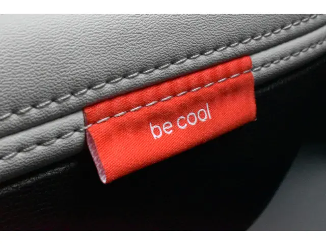 Citroën ë-C3 Max 113pk 44 kWh 2025 Elektrisch 18