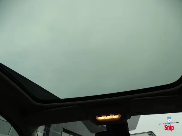 Nissan QASHQAI 1.3 DIG-T Business Edition 2019 Benzine 11