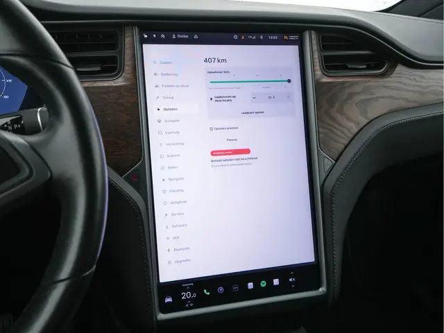 Tesla Model X 100D AWD [ 3-Fase ] 2018 Elektrisch 14