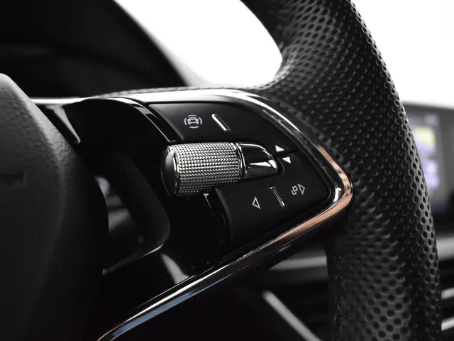Škoda Kamiq 1.0 Tsi 110pk DSG Monte Carlo 2024 Benzine 12