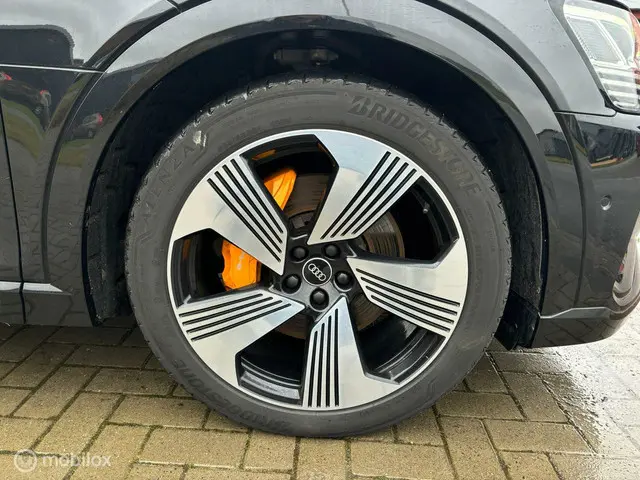 Audi e-tron 55 quattro S edition 95 kWh 2021 Elektrisch 25