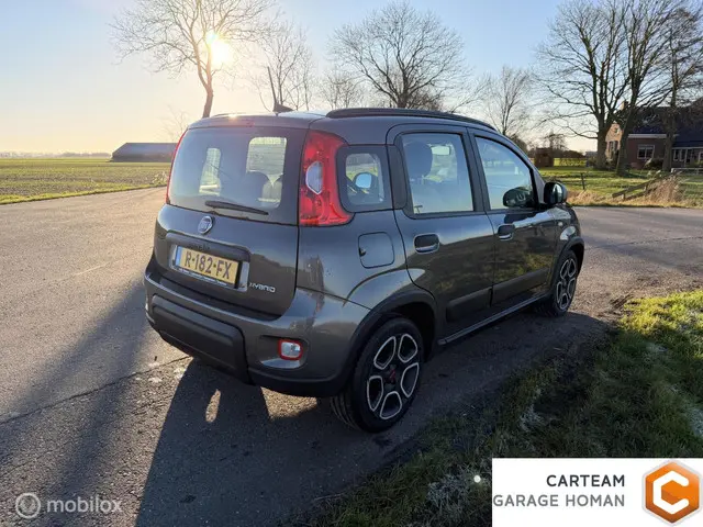 Fiat Panda 1.0 Hybrid City Life 2022 Benzine 4