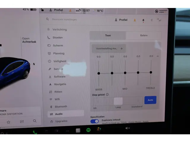 Tesla Model 3 Standard RWD Plus 60 kWh 2020 Elektrisch 48