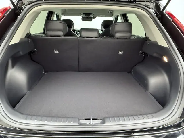 Kia Niro EV AIR 2025 Elektrisch 11