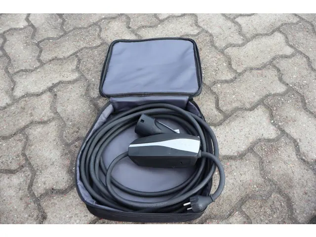 Tesla Model 3 Long Range AWD 75 kWh 2019 Elektrisch 25