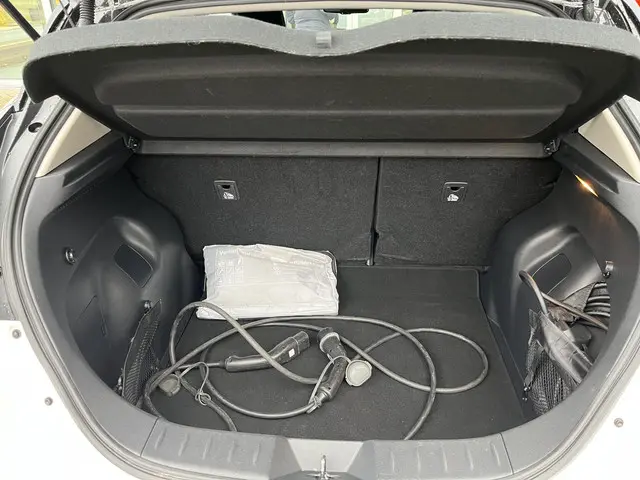 Nissan Leaf e+ N-Connecta 62 kWh 2021 Elektrisch 26