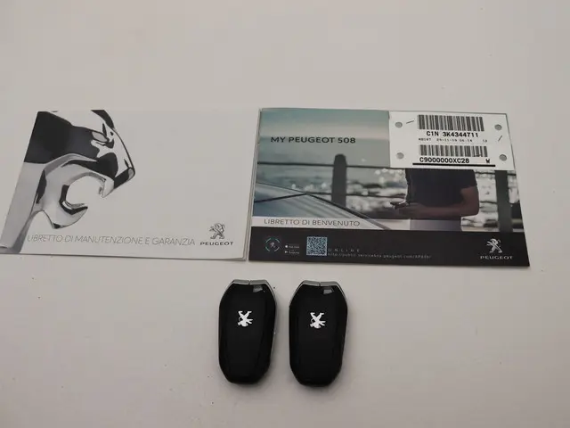 Peugeot 508 SW 1.6 HYbrid GT 2021 Hybride Benzine 37