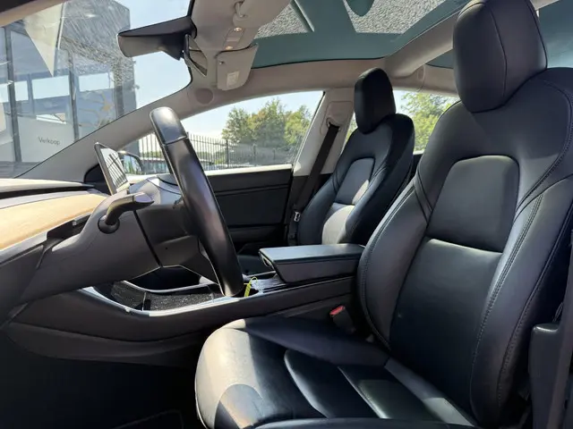 Tesla Model 3 Long Range AWD 75 kWh 2019 Elektrisch 6