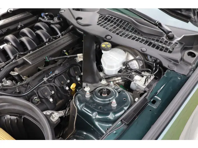 Ford Mustang Fastback Bullitt 2019 Benzine 48