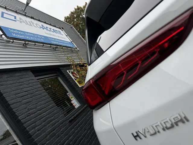 Hyundai Kona 1.0 T-GDI Premium 2019 Benzine 9