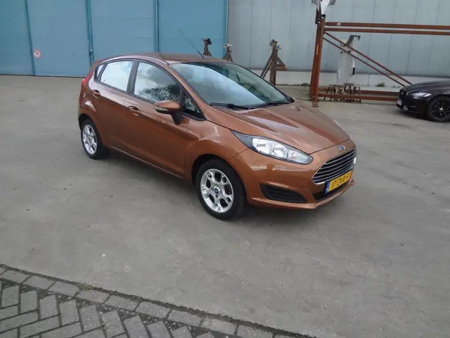 Ford Fiesta 1.0 Champion 2013 Benzine 2