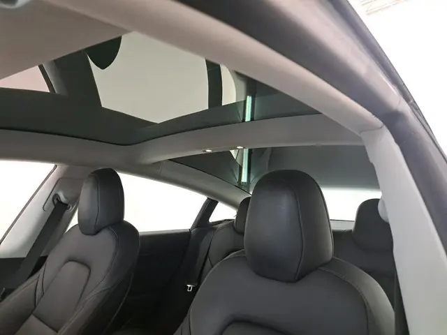 Tesla Model 3 Standard RWD Plus 60 kWh 2020 Elektrisch 10