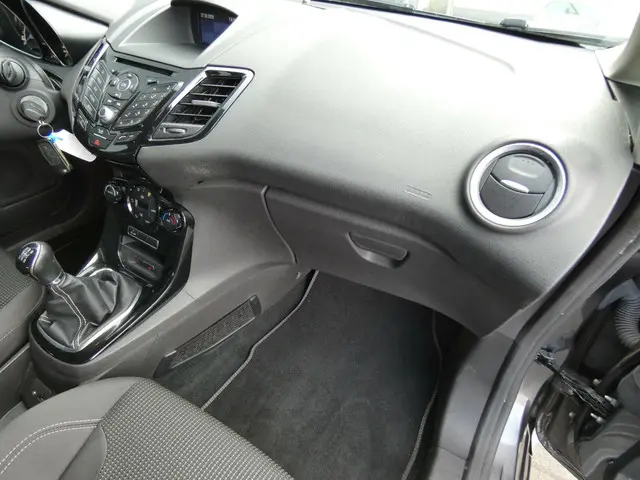 Ford Fiesta HELAAS VERKOCHT!!! 2015 Benzine 30