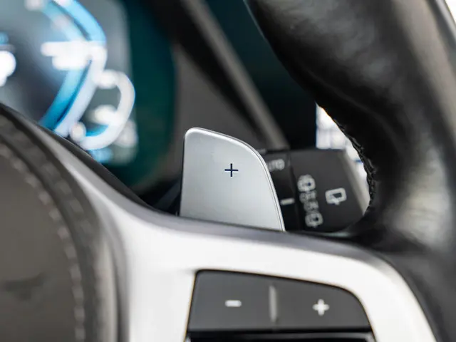 BMW X5 xDrive45e 2021 Hybride Benzine 24