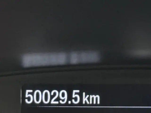 Ford Fiesta 1.0 EcoBoost ST-Line 2019 Benzine 4