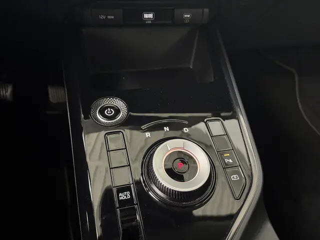 Kia Niro EV DynamicLine 64.8 kWh 2022 Elektrisch 19