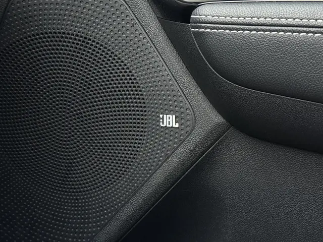 Kia e-Niro Aut. ExecutiveLine 64kWh 2021 Elektrisch 22