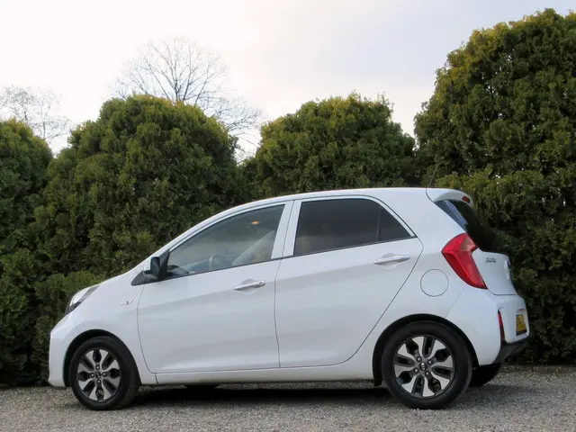 Kia Picanto 1.0 CVVT Navigator*Navi*Ecc*Camera* 2016 Benzine 5