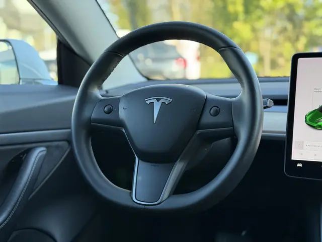 Tesla Model 3 Range Plus 2020 Elektrisch 18