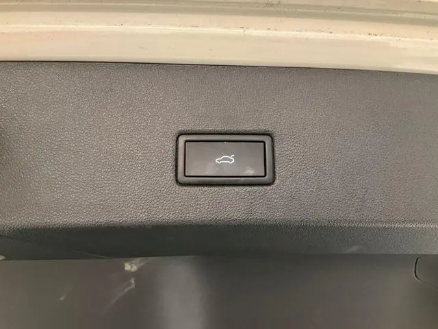 Volkswagen T-Roc 1.5 TSI 2X R-Line 2024 Benzine 15