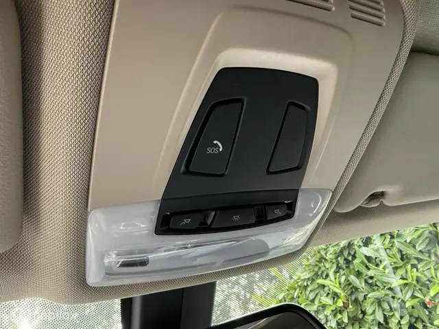 BMW 3 Serie 318i Luxury Edition 2019 2019 Benzine 17