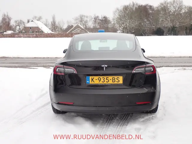 Tesla Model 3 SR+ 2020 Elektrisch 22