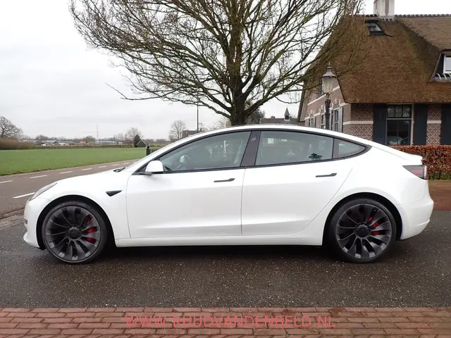 Tesla Model 3 Performance AWD 75 kWh 2021 Elektrisch 6