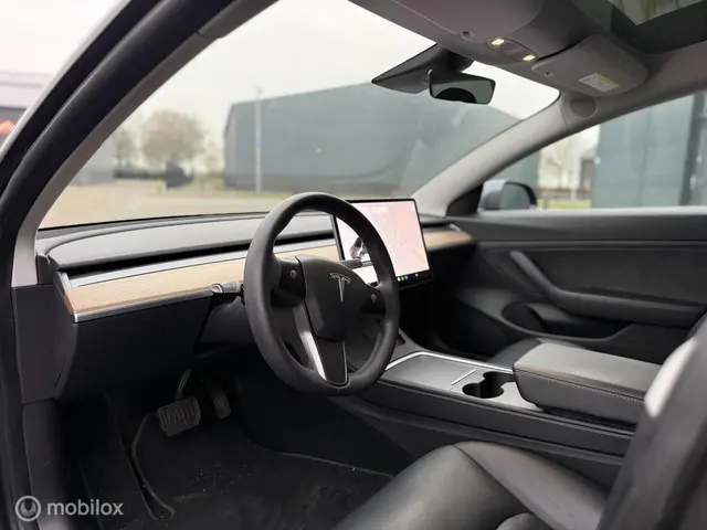 Tesla Model 3 Long Range AWD 75 kWh 2020 Elektrisch 12