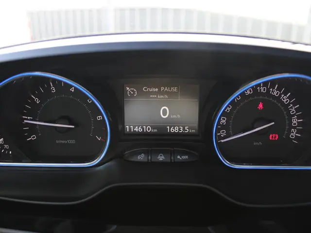 Peugeot 2008 1.2 PureTech Allure 2019 Benzine 21