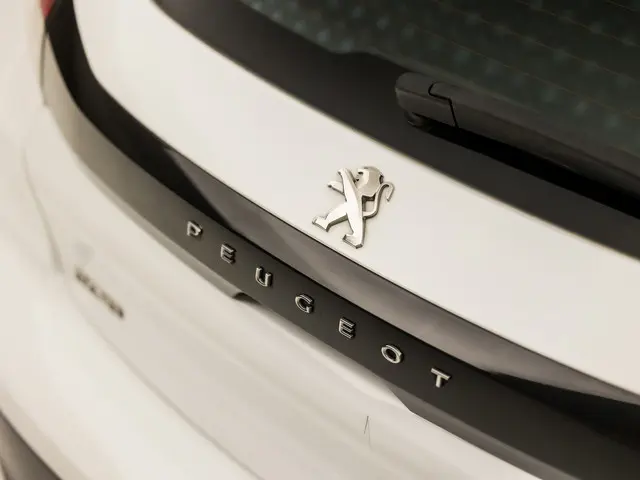 Peugeot 208 1.2 PureTech Sport 2020 Benzine 27