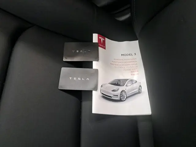 Tesla Model 3 Standard RWD Plus 60 kWh 2020 Elektrisch 5