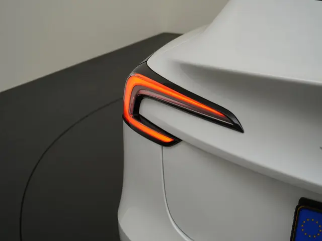 Tesla Model 3 RWD 60 kWh 2024 Elektrisch 9