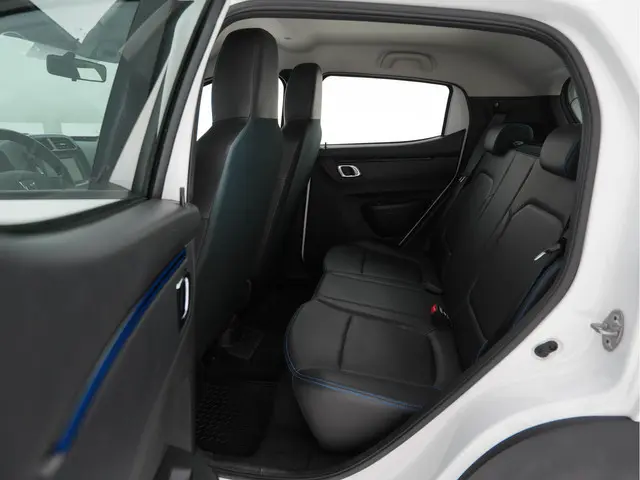 Dacia Spring Business 27 kWh Pack-Techno 2021 Elektrisch 8