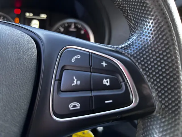 Mercedes-Benz Vito 116 CDI Lang 2019 Diesel 20