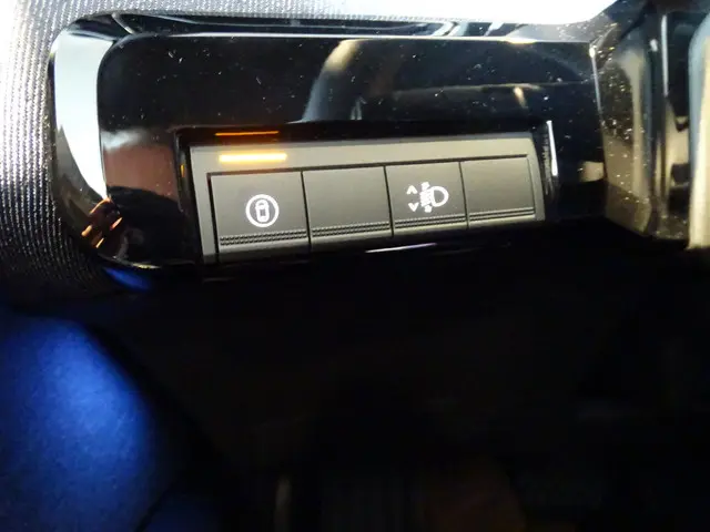 Renault 4 comfort range techno 52 kWh 2026 Elektrisch 32