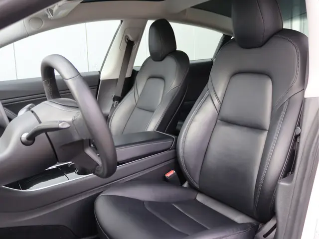 Tesla Model 3 Standard RWD Plus 60 kWh 2019 Elektrisch 5