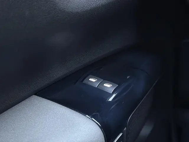 Citroën C4 Cactus 1.2 PureTech Feel 2019 Benzine 25